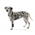 Kruuse Rehab Dog Carpal Joint Protection / Leg Brace